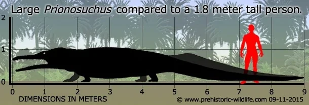 Prionosuchus: Crocodile in the body of an amphibian. The titanic monster was a superpredator beyond any competition - Frogs, League of biologists, Yandex Zen, Animals, Longpost