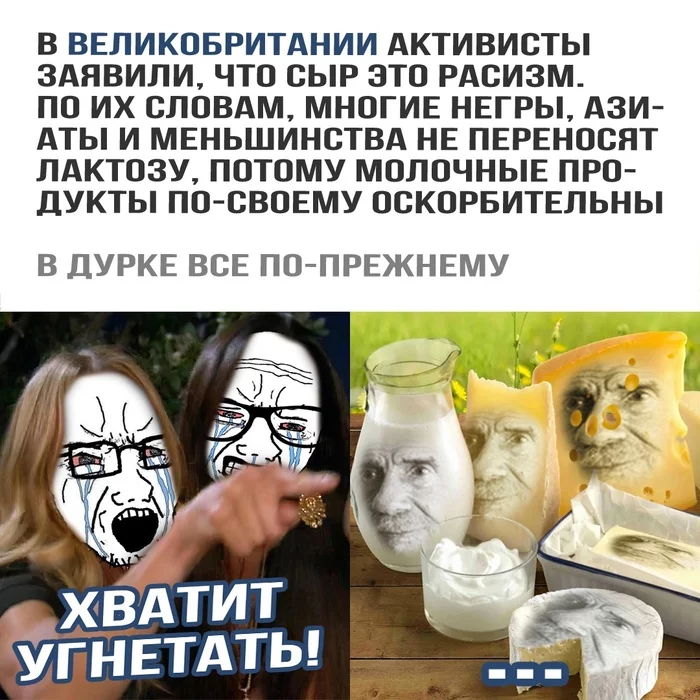 Cheese racist! - Humor, Racism, Idiocy, Cheese, Picture with text, Sjw, Marasmus, Two women yell at the cat, , Memes