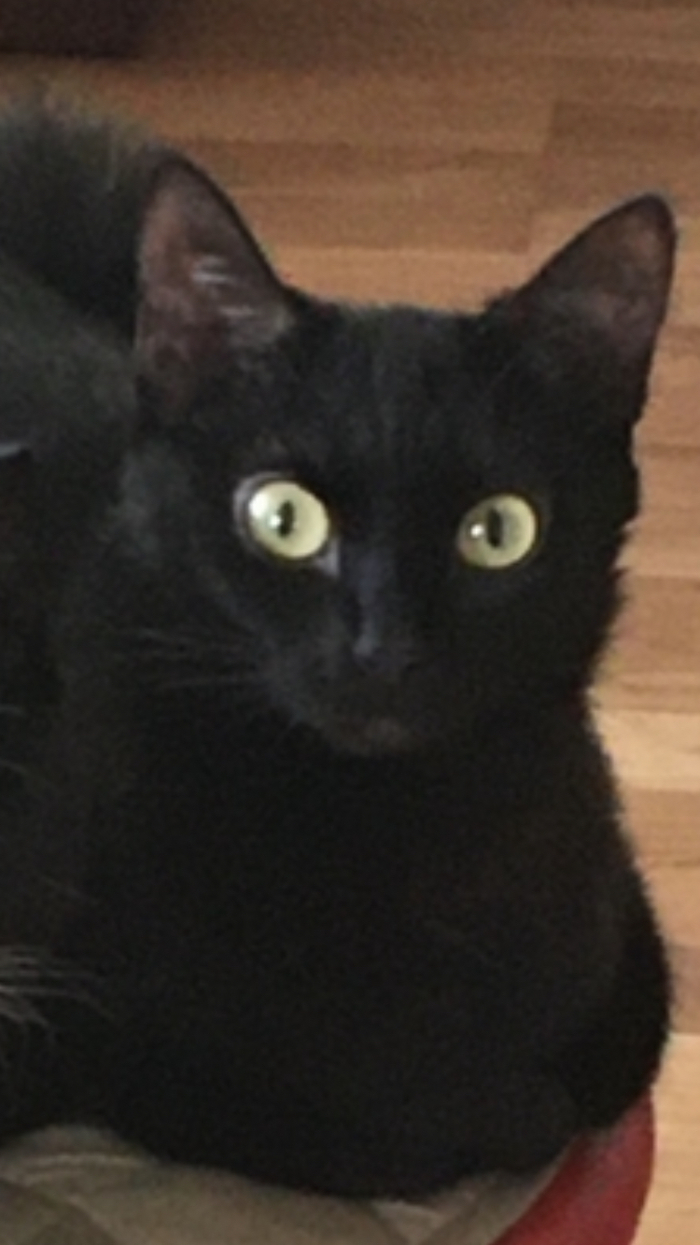   =   ,    , 