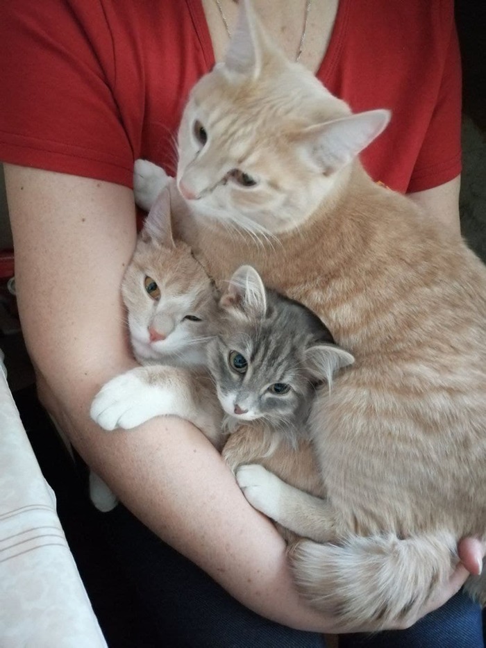 ������ �������. ������, ���� � ����