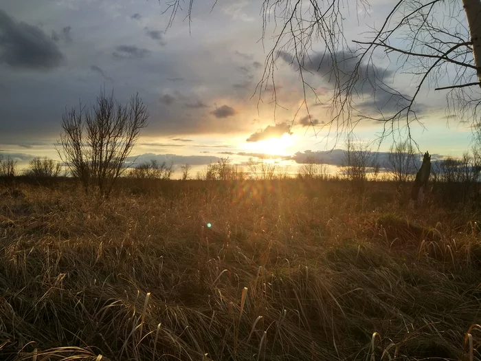 Wonderful sunsets/sunrises - My, Nature, Spring, Landscape, Longpost, Novosibirsk region