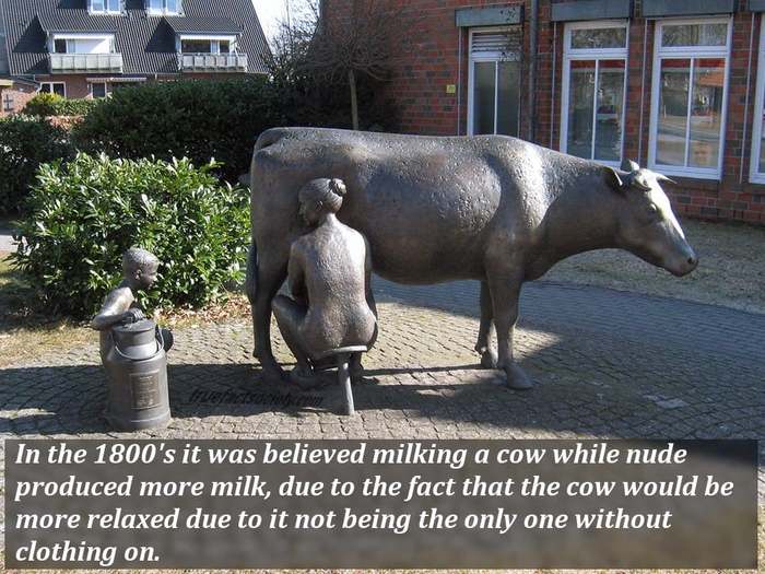 Very doubtful information, but the sculpture itself ... Well, you have to think of such a pile) - Cow, Sculpture, Milking of cows, Boy, Can, Picture with text