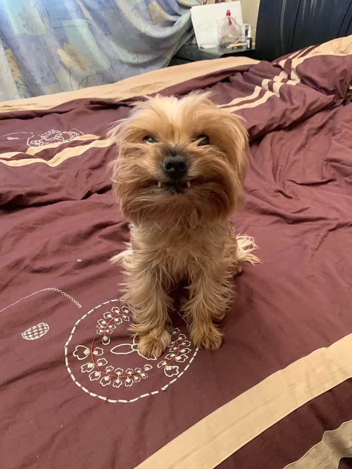 ������-���������!