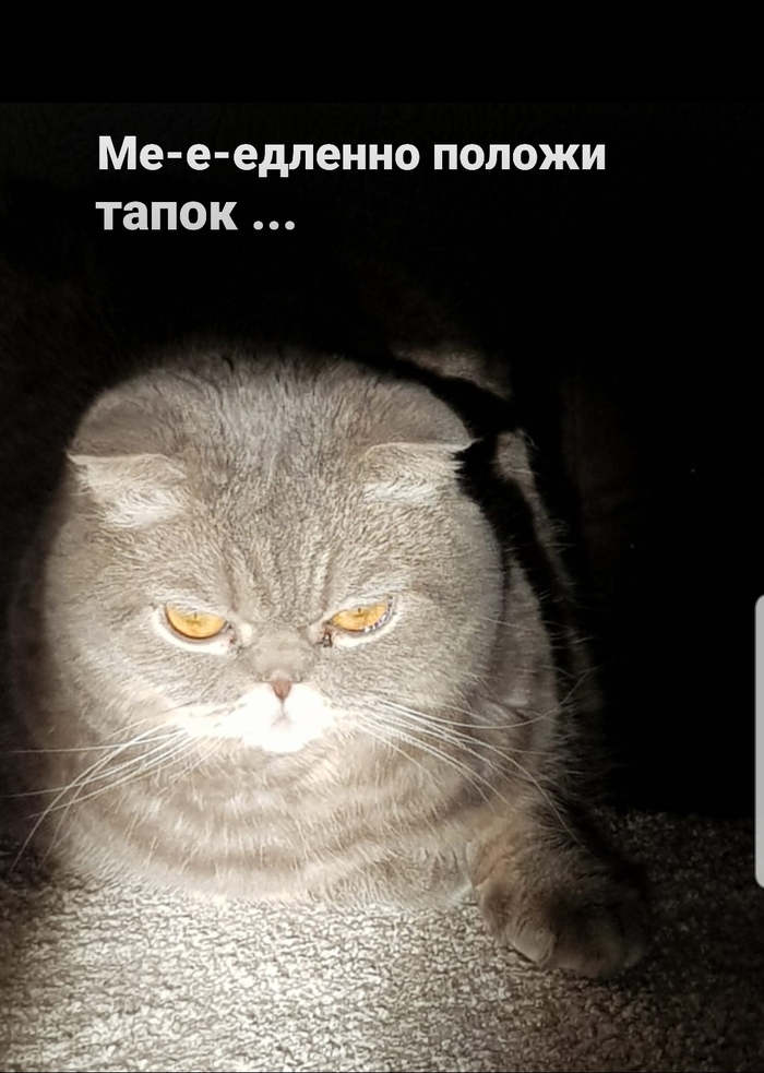 Кто-то должен быть наказан