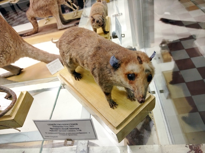 Стоит. Молчит