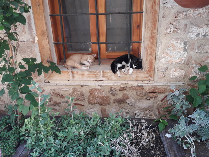 Три недели...