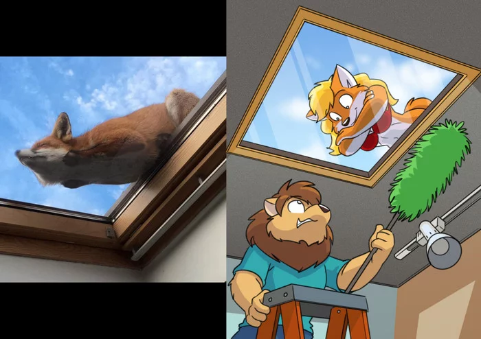 Window fox - Furry, Furry art, Furry canine, Furry fox, Furry feline, Furry lion, Window, Fox