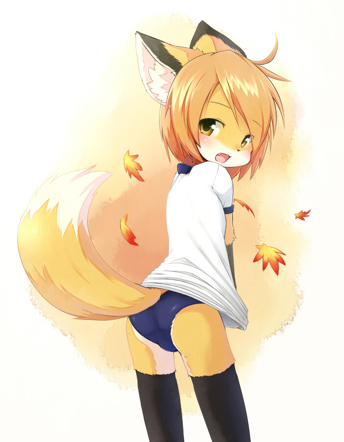 Fox cub ^_^ - Its a trap!, Trap Art, Furry, Furry trap, Furry fox, Shotacon, Gym uniform, Repeat