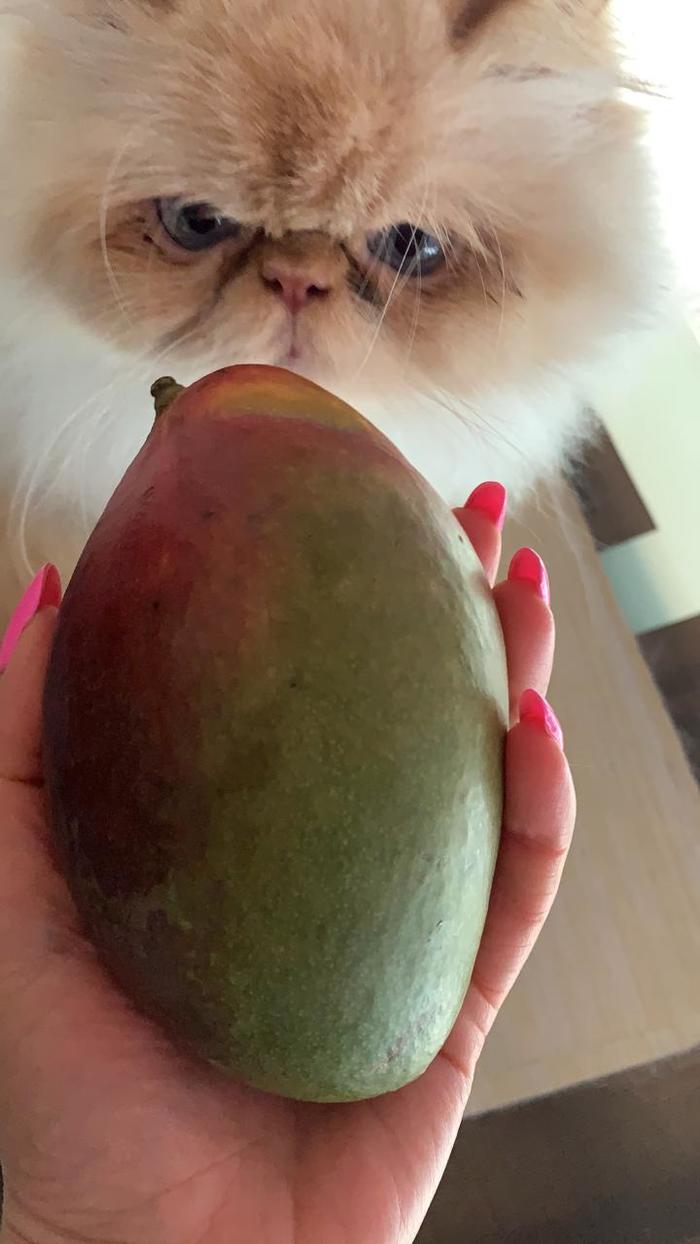 ��� � �����