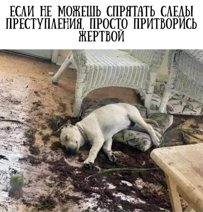  ,  , ,   