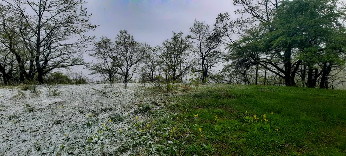 seasons border - My, Republic of Adygea, Spring