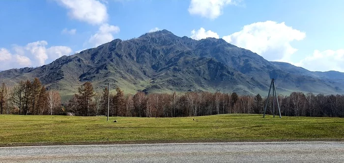 Mountain Altai - My, Altai Republic, Ongudai, Longpost, The mountains, Nature