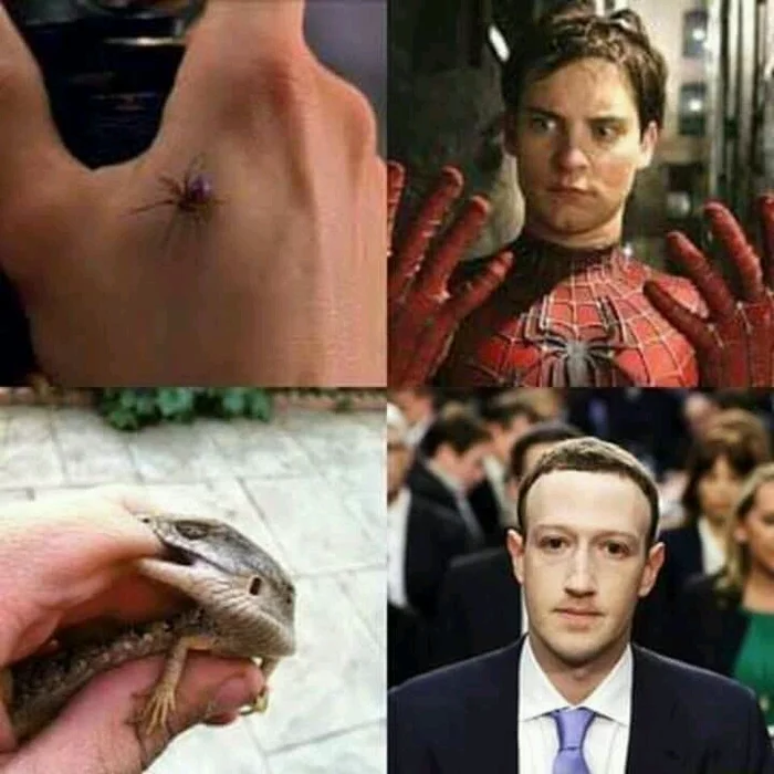 Reptilian - Spiderman, Spider, Lizard, Mark Zuckerberg, Mutation, Humor