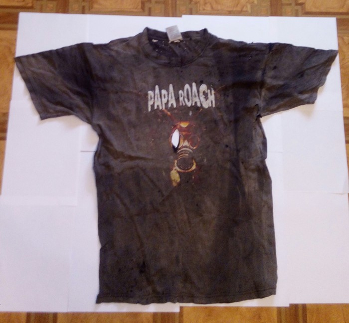  Papa Roach, 