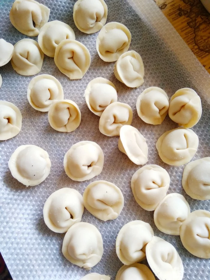 No process. Without proofs - My, Dumplings, Cooking, Weekend, Longpost, cat