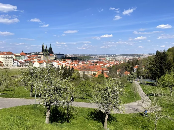 View of Prague from Petrin Hill - My, Prague, Prague Castle, Spring, The photo