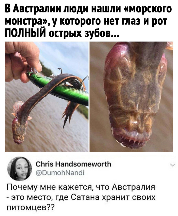 ����� ��� ���������