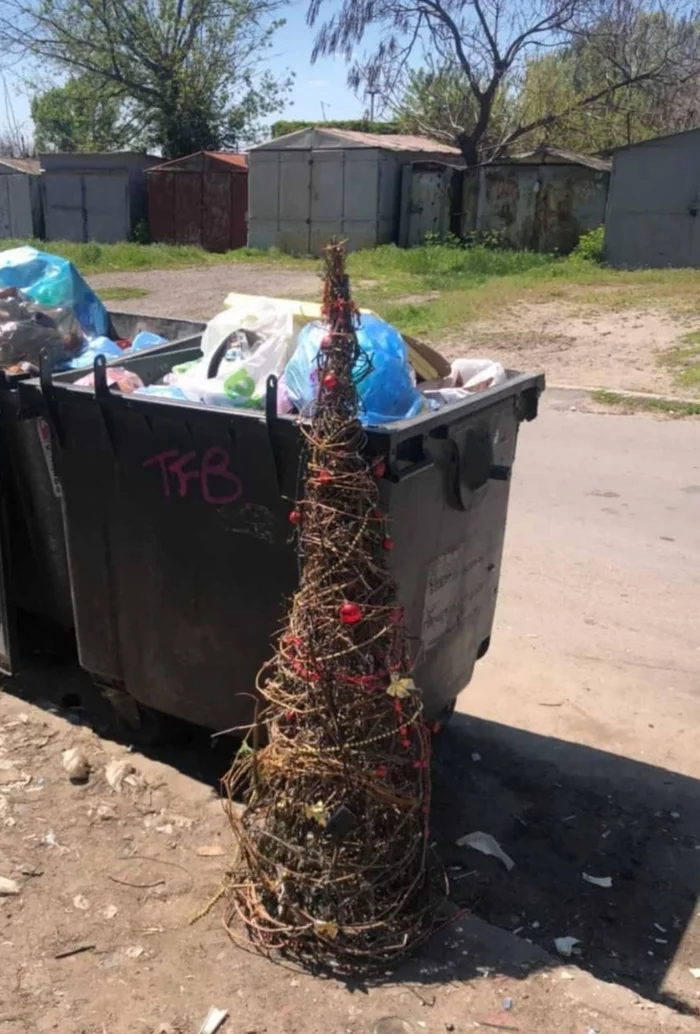 Another weakling has given up - New Year, Christmas tree, Weakling, Zaporizhzhia, Threw away the tree