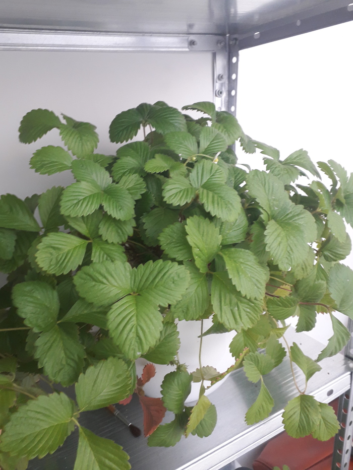 ничто так не украшает квартиру как маленький ребенок с фломастерами. Смотреть фото ничто так не украшает квартиру как маленький ребенок с фломастерами. Смотреть картинку ничто так не украшает квартиру как маленький ребенок с фломастерами. Картинка про ничто так не украшает квартиру как маленький ребенок с фломастерами. Фото ничто так не украшает квартиру как маленький ребенок с фломастерами ничто так не украшает квартиру как маленький ребенок с фломастерами. Смотреть фото ничто так не украшает квартиру как маленький ребенок с фломастерами. Смотреть картинку ничто так не украшает квартиру как маленький ребенок с фломастерами. Картинка про ничто так не украшает квартиру как маленький ребенок с фломастерами. Фото ничто так не украшает квартиру как маленький ребенок с фломастерами