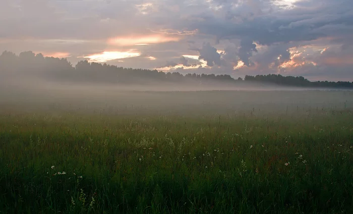 Near Koltsovo (Novosibirsk region) - My, The photo, Forest, Field, Spring, Summer, Winter, Longpost