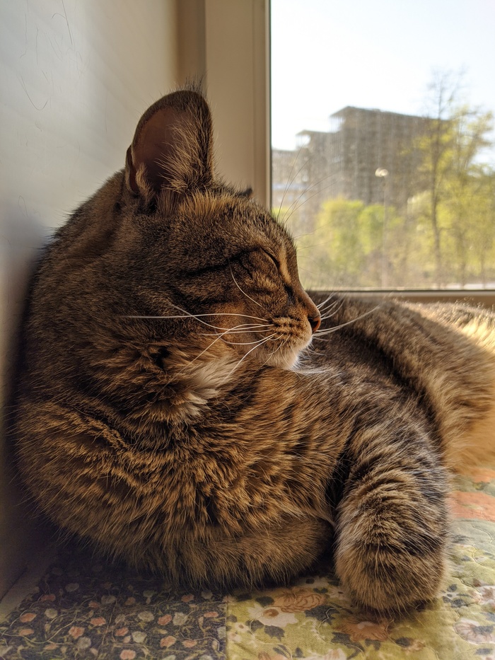 Мистер лаки нежится :)