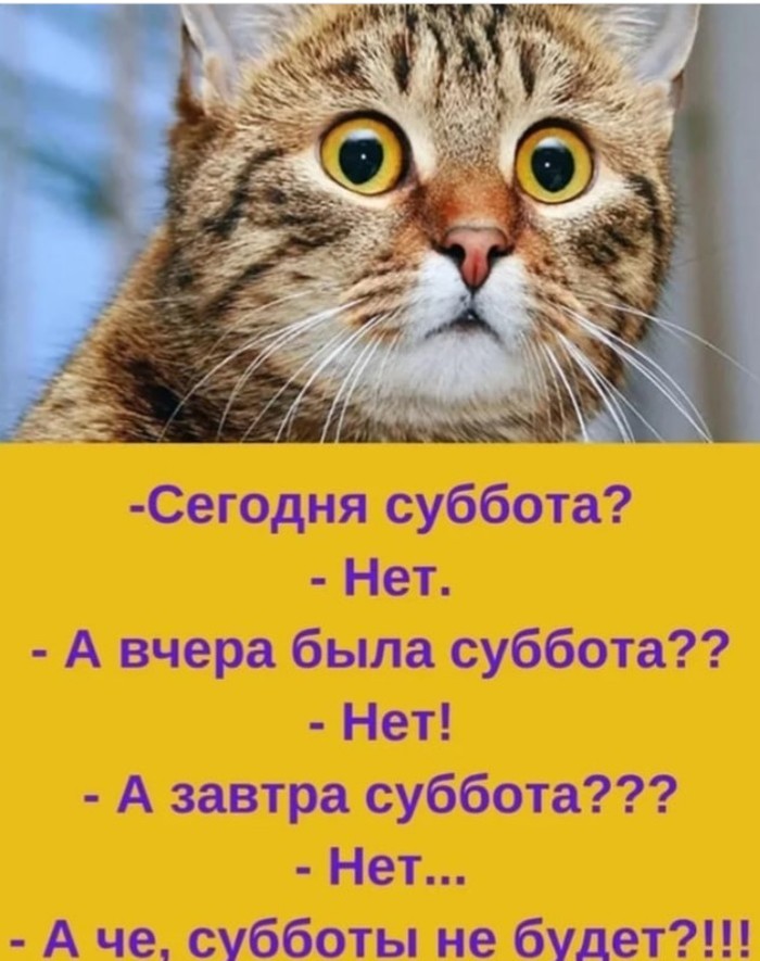 Где же суббота?!?