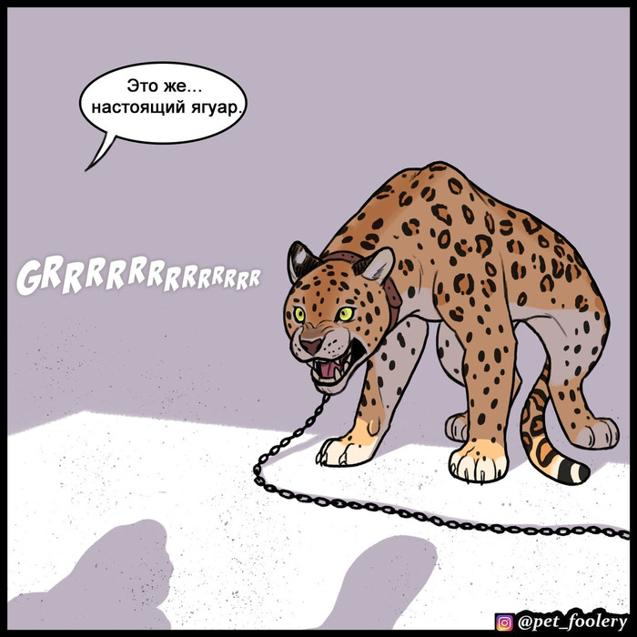 Ягуар | Пикабу