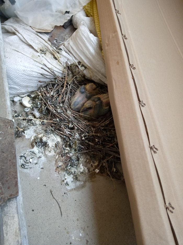 Обнаглевшие арендаторы