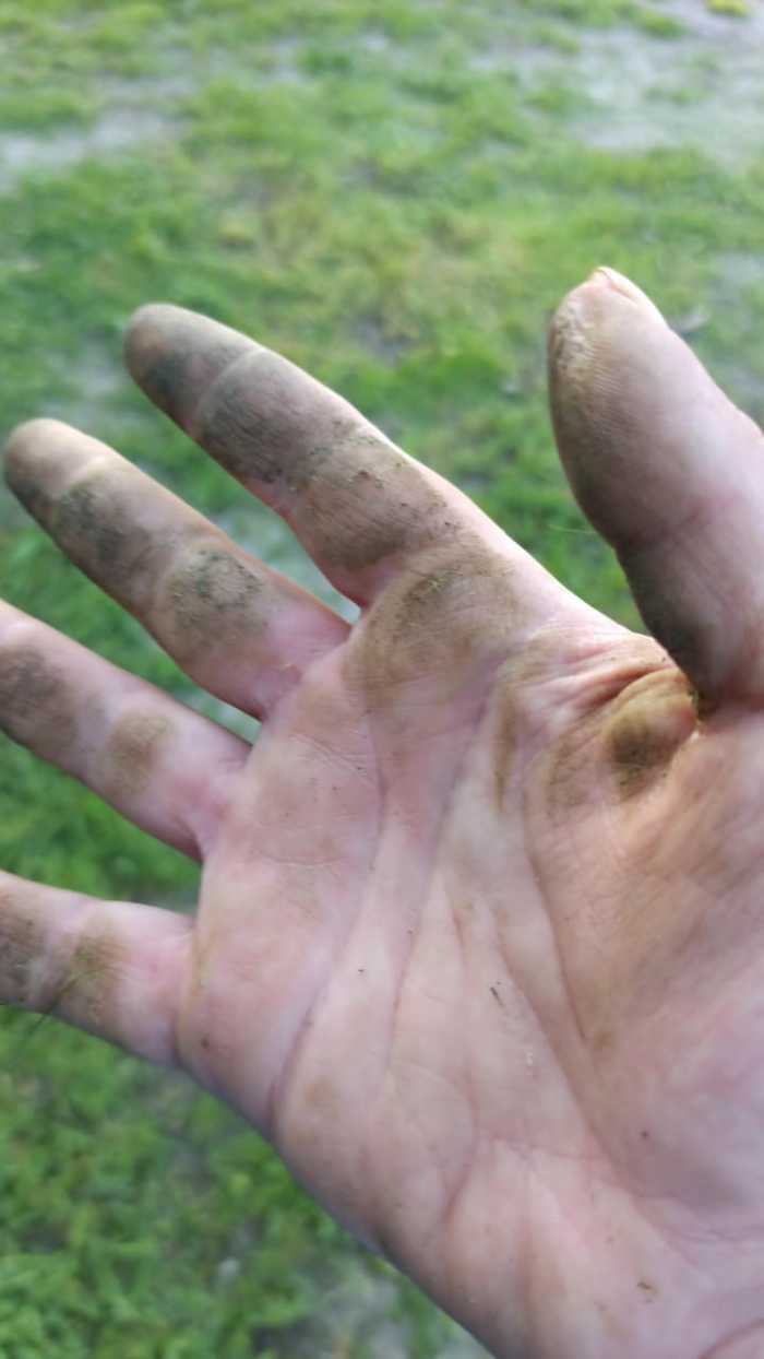 Переезд из Питера в Краснодарский край на ПМЖ в 18 году. Азовское море, Должанская) Переезд, Краснодарский край, Должанская, Азовское море, Длиннопост