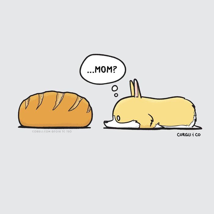 Bun - Corgli & Co, Corgi, Dog, Bread, Comics