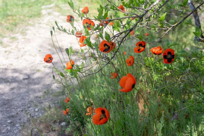 REPORT: Hiking trip in Crimea during the May holidays May 1-8, 2021: Bakhchisarai - Laspi - My, Crimea, Travels, Hike, Tourism, Leisure, Adventures, The mountains, Nature, beauty, Report, Route, Longpost, The photo, Series Reports on hikes in Crimea
