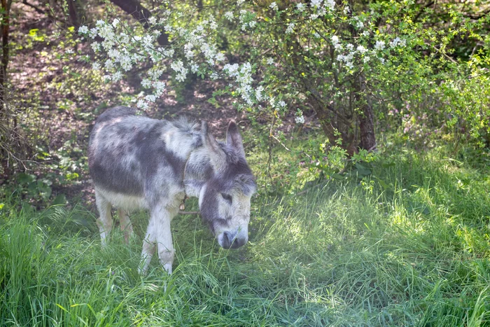 REPORT: Hiking trip in Crimea during the May holidays May 1-8, 2021: Bakhchisarai - Laspi - My, Crimea, Travels, Hike, Tourism, Leisure, Adventures, The mountains, Nature, beauty, Report, Route, Longpost, The photo, Series Reports on hikes in Crimea