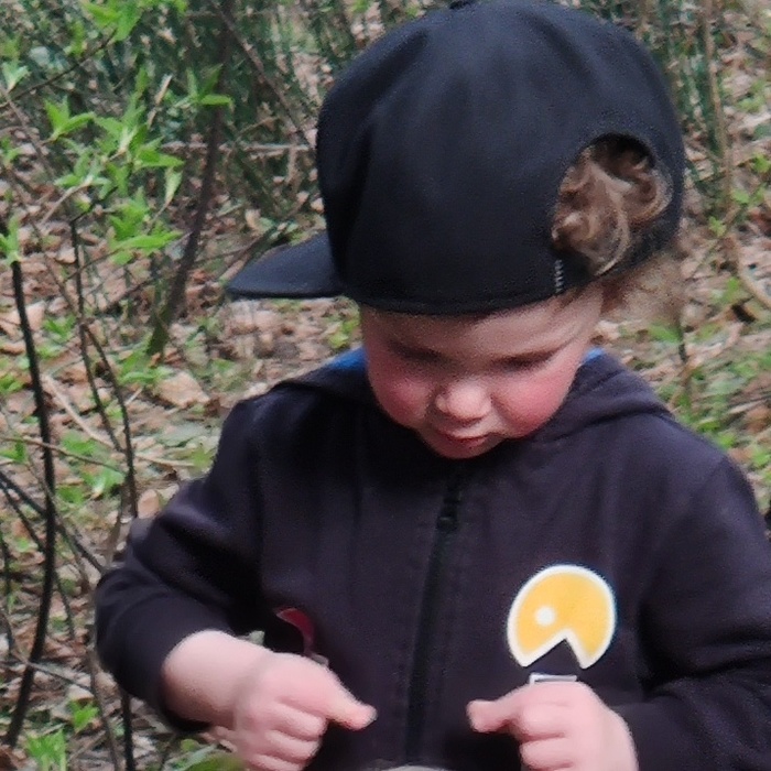 ����������