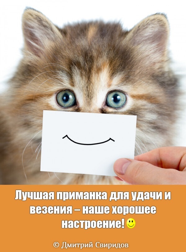 Monday. Back to work...)) - My, January, Monday, Work, Holidays are over, cat, Mood, Smile, Optimism, Humor, Picture with text