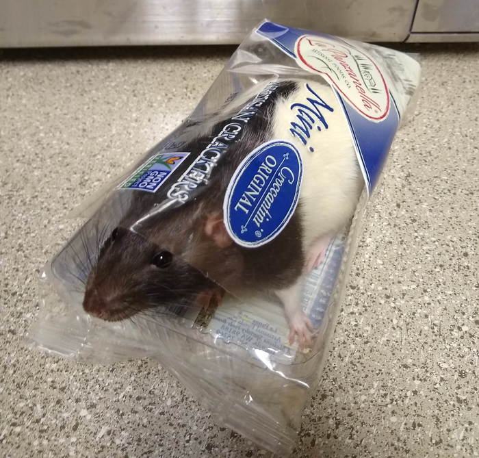 Крысь в заводской упаковке