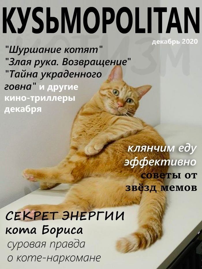 Kusmopolitan - cat, Magazine, Memes, Humor, Longpost, Mat