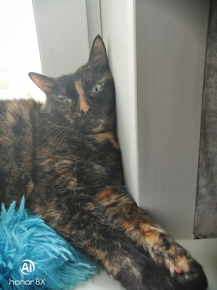 ��� ����� ���� ��� ������...