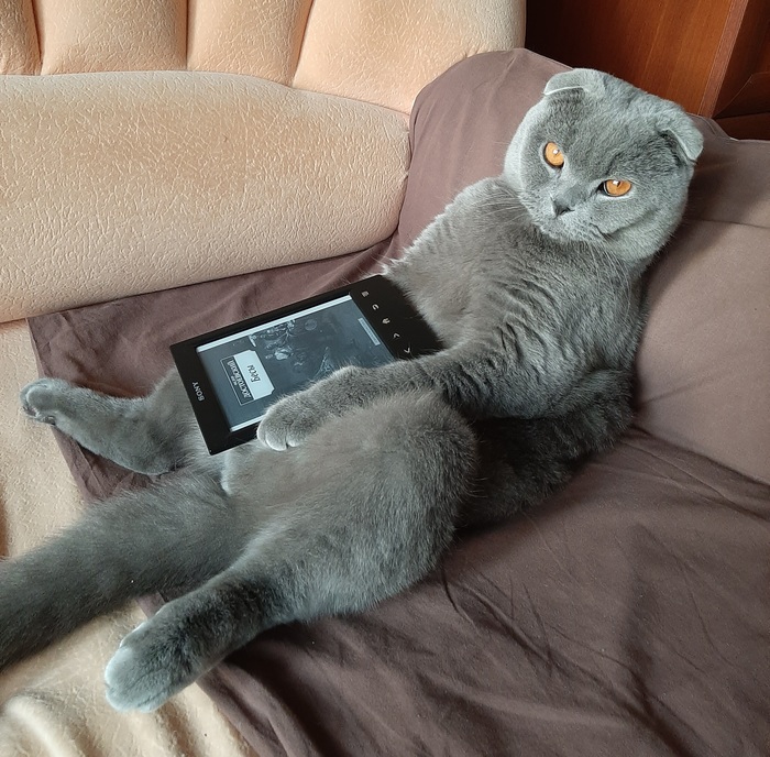 ����� ������ �������� ������� ����� ����, � �� ������-�� ����� ��������� �������