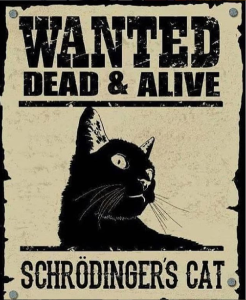 Wanted alive and dead - Shroedinger `s cat, Wanted, , cat