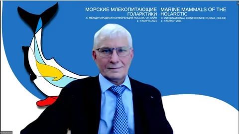 Массовая гибель тюленей на Каспии получила экспертное объяснение