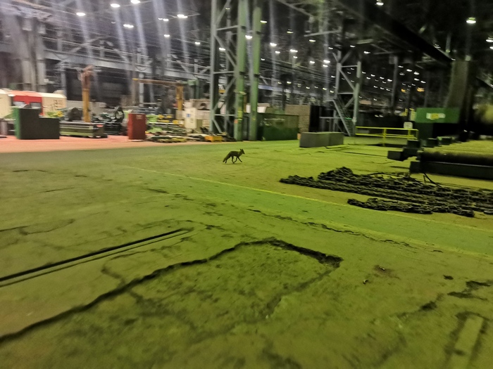 � ��� ��� ��� � ���?