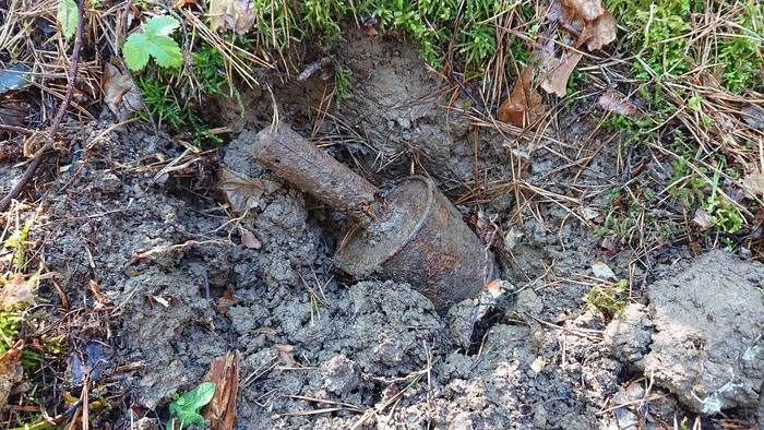 ���� ������