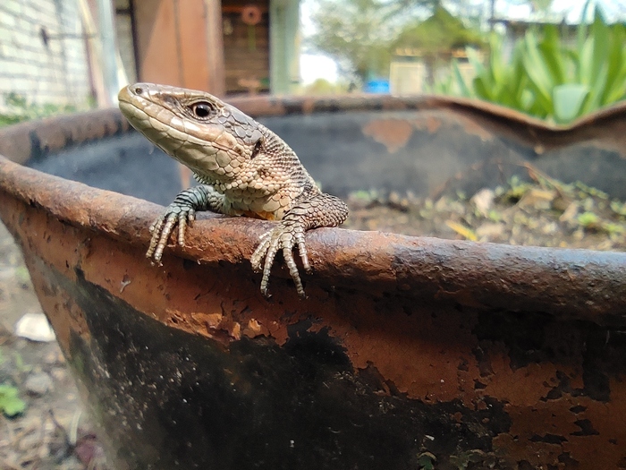 �������