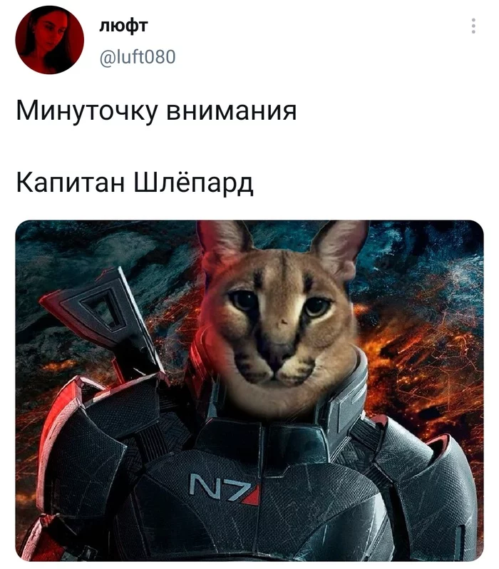 Первые 5 часов в photoshop - Mass Effect, Каракал, Photoshop, Twitter, Скриншот, Big Floppa, Большой Шлёпа