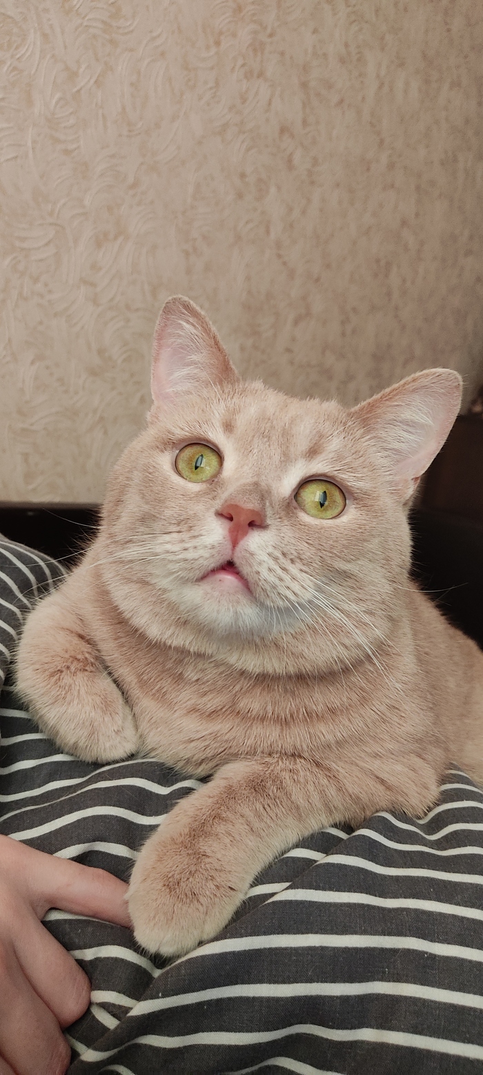 ����� �� ����� ������ ������� ������� � ������� ���������������� ����