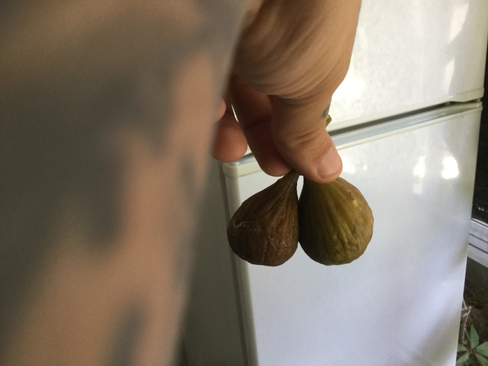 Кому инжирчик?)