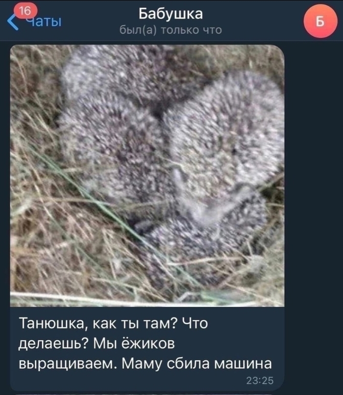 �������, ����!