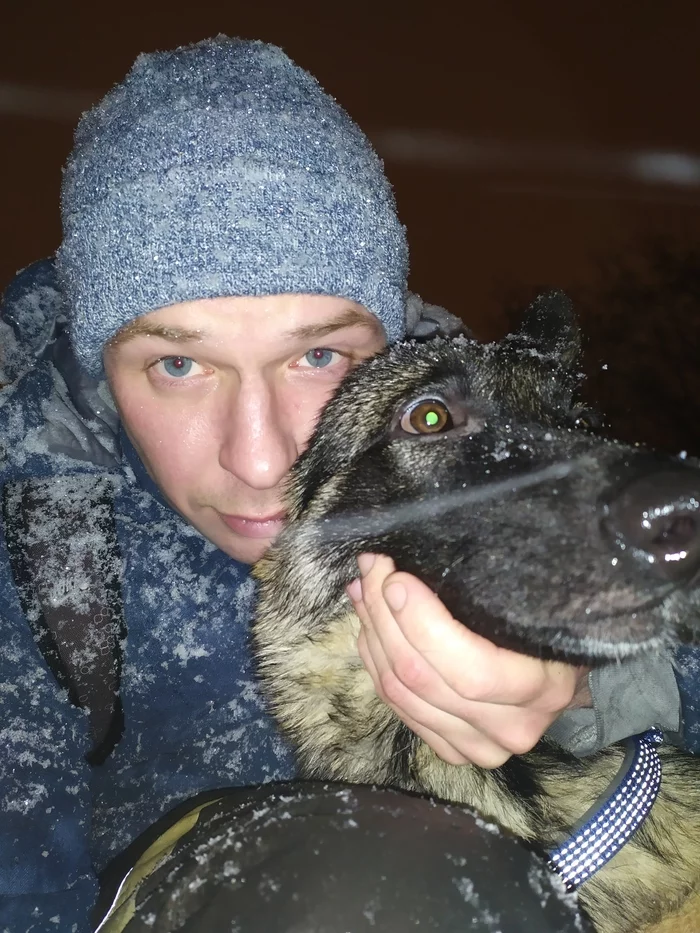 Победим котиков вместе! Даешь собакена!) - Моё, Немецкая овчарка, Собаки и люди, Собака