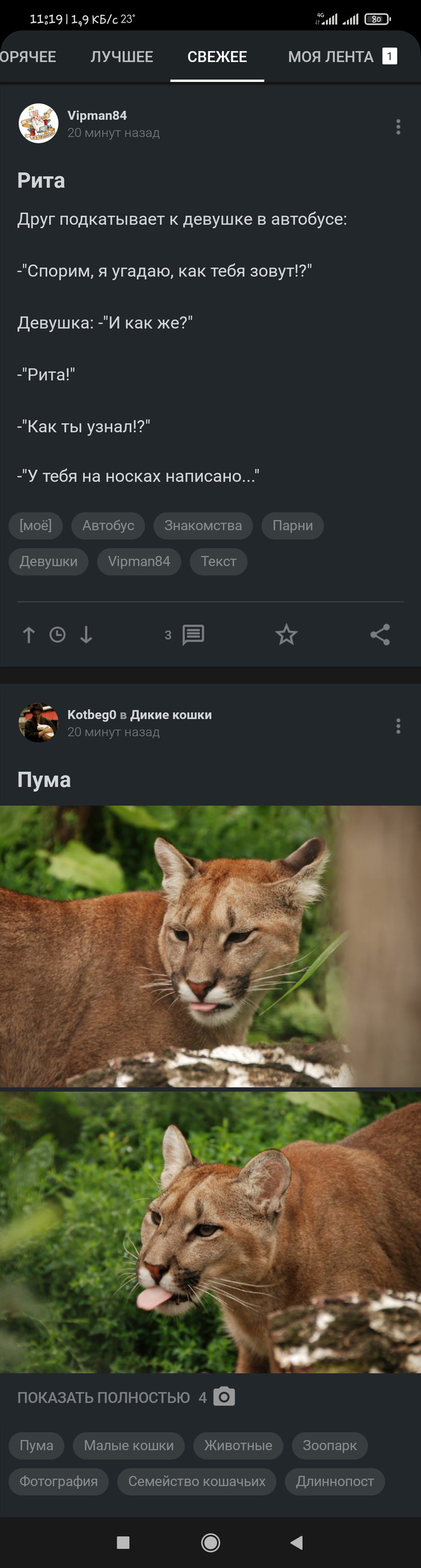 Забавно совпало