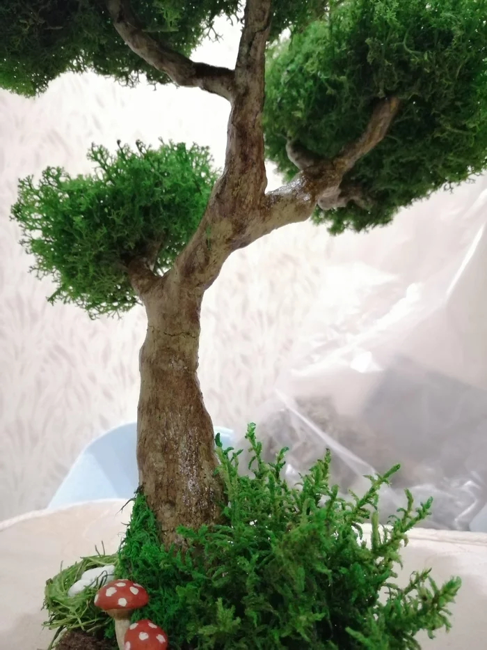 Continuing on stabilized moss... - My, , Tree, Interior, Handmade, With your own hands, Longpost, Needlework without process, Moss